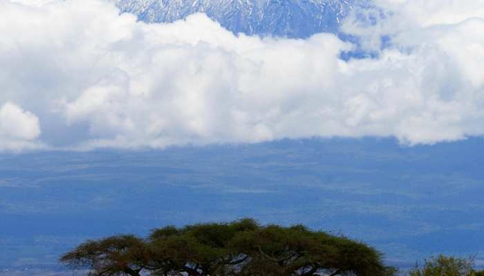 沽源疫情最新闻：你需要了解的每一个细节
