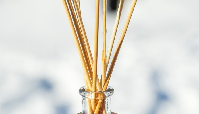 昨天遵义疫情最新消息：最新动态、防护措施与心理健康关注