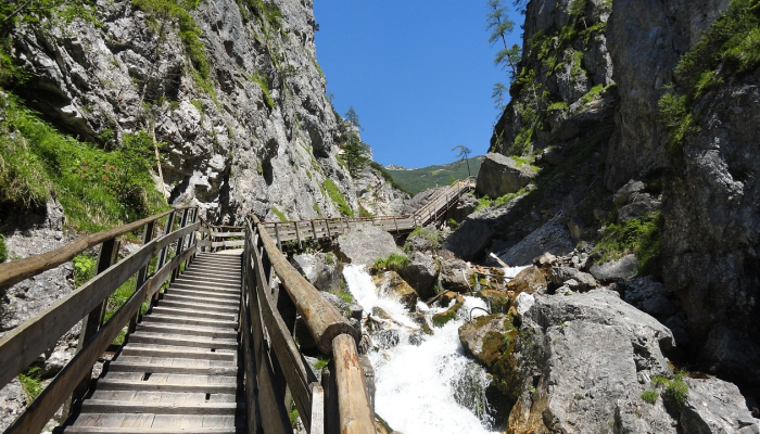 山东疫情最新分级图解：全面掌握防疫动态，为您的健康保驾护航