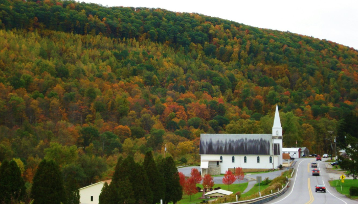 武汉樱花最新疫情：健康与美景的平衡之道