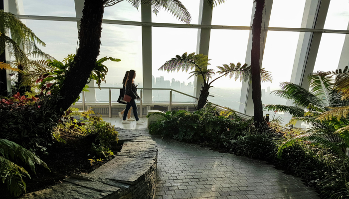 泉城花园最新疫情情况 泉城花园最新疫情情况