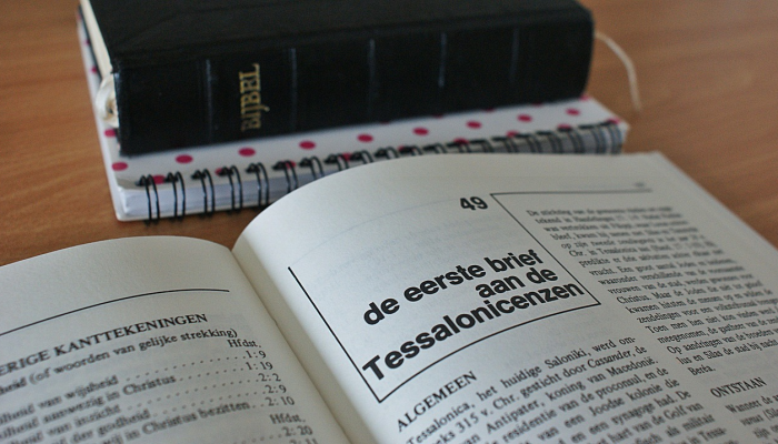 最新疫情见闻作文:与时共进的健康守护 最新疫情见闻作文:与时共进的健康守护