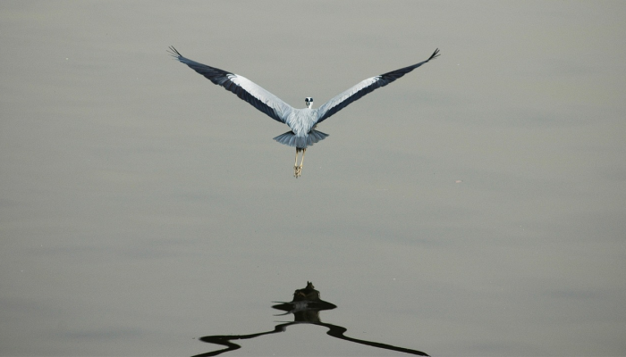 疫情最新数上海：了解最新动态与防疫措施